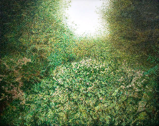 Vegetation Images Vegetation Images