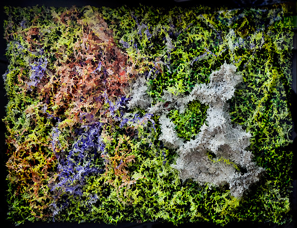 Aljoscha, bioism, biofuturism