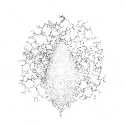 Aljoscha, bioism, biofuturism