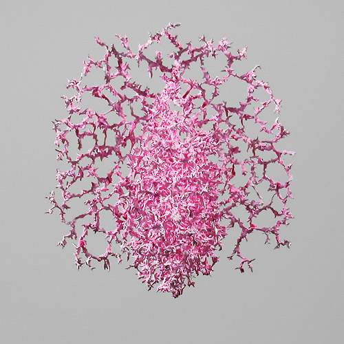 Aljoscha, bioism, biofuturism