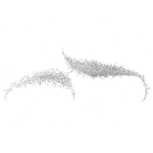 Aljoscha, bioism, biofuturism