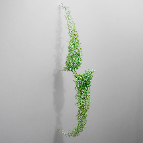 Aljoscha, bioism, biofuturism