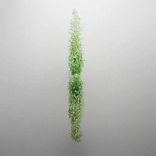 Aljoscha, bioism, biofuturism