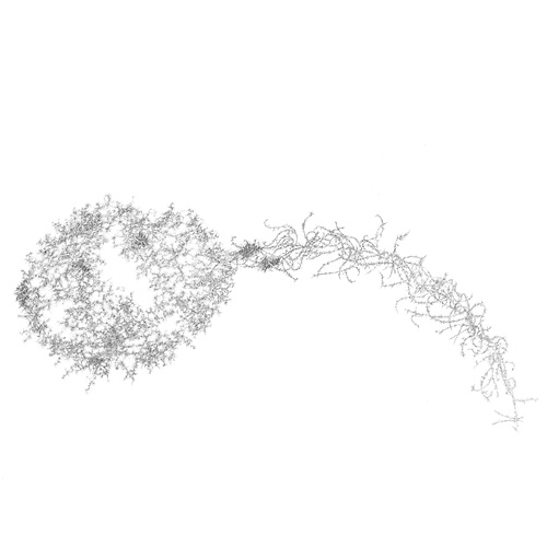 Aljoscha, bioism, biofuturism