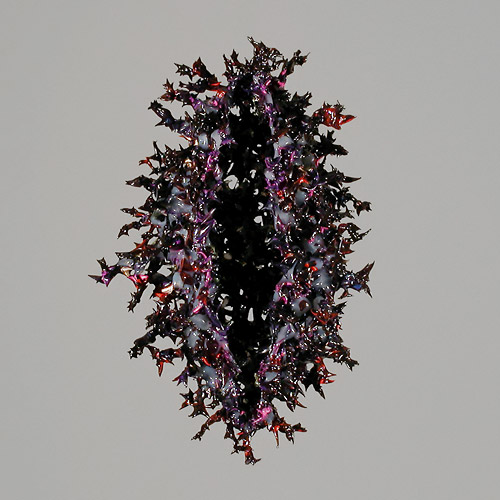 Aljoscha, bioism, biofuturism