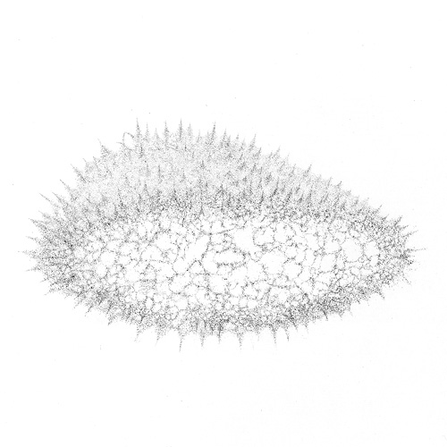 Aljoscha, bioism, biofuturism