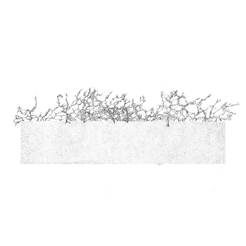 Aljoscha, bioism, biofuturism