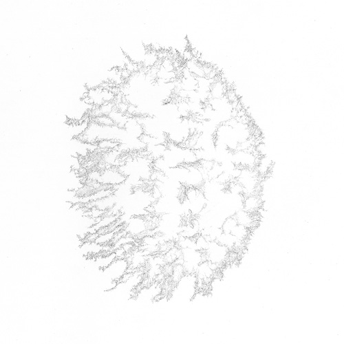 Aljoscha, bioism, biofuturism