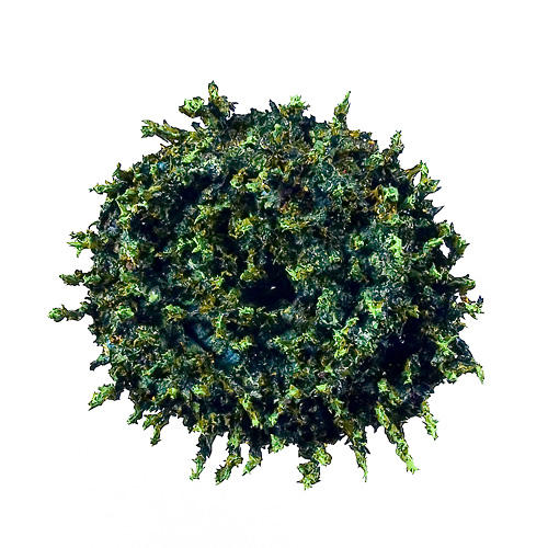 Aljoscha, bioism, biofuturism