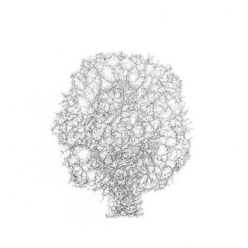 Aljoscha, bioism, biofuturism
