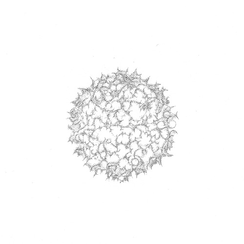Aljoscha, bioism, biofuturism