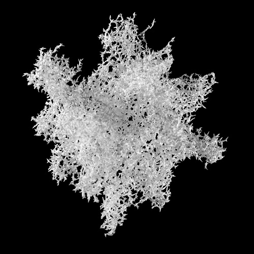 Aljoscha, bioism, biofuturism