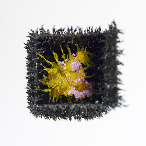 Aljoscha, bioism, biofuturism