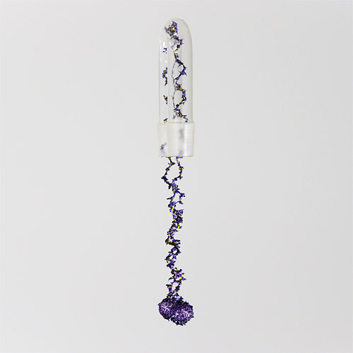 Aljoscha, bioism, biofuturism