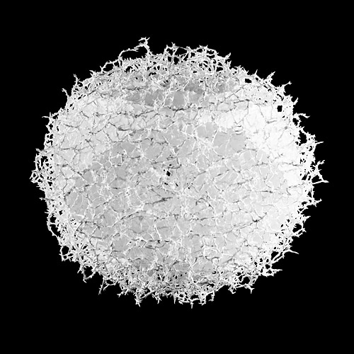 Aljoscha, bioism, biofuturism