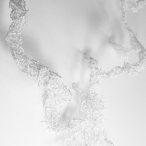 Aljoscha, bioism, biofuturism