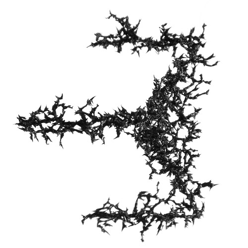 Aljoscha, bioism, biofuturism