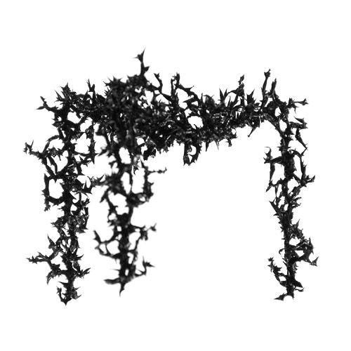 Aljoscha, bioism, biofuturism