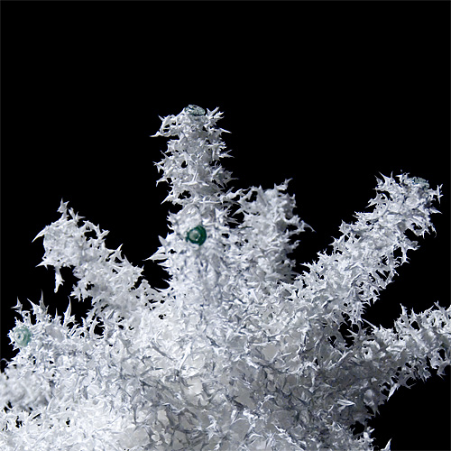 Aljoscha, bioism, biofuturism