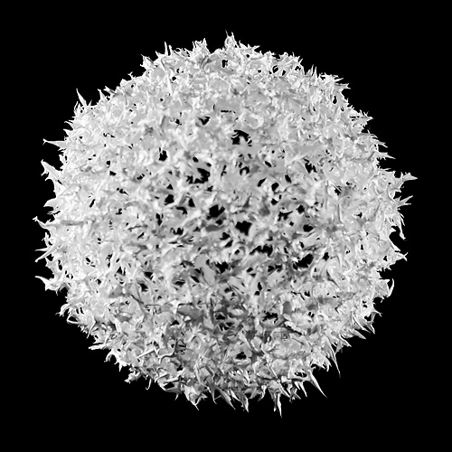 Aljoscha, bioism, biofuturism