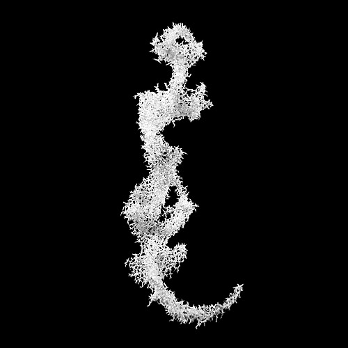 Aljoscha, bioism, biofuturism