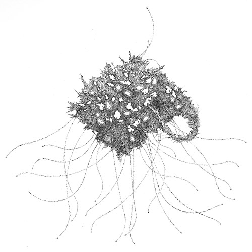 Aljoscha, bioism, biofuturism