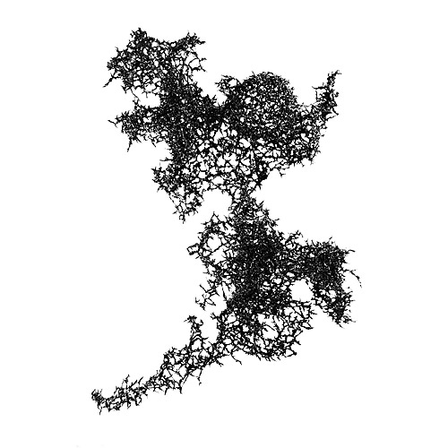 Aljoscha, bioism, biofuturism