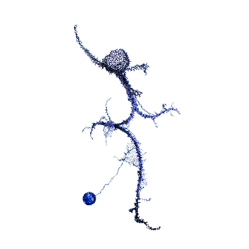 Aljoscha, bioism, biofuturism