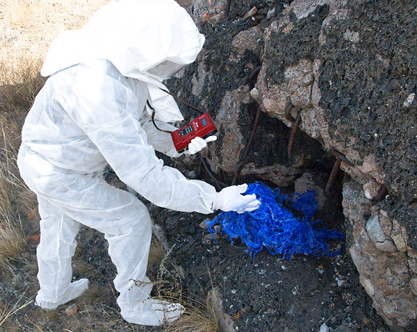 bioism creatures exposed to radioactive isotopes emitting alpha, beta and gamma radiation at the surface of the melted concrete contaminated with plutonium, strontium and americium particles at the nuclear test site of Semipalatinsk; exploring biological and mental health effects