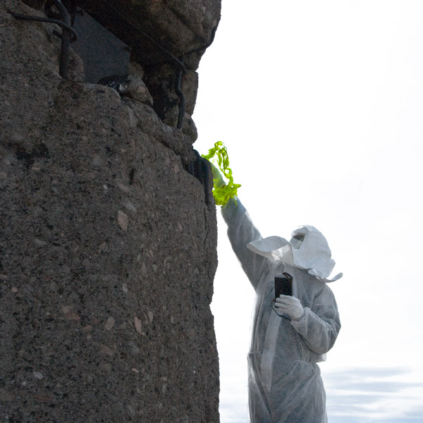 bioism creatures exposed to radioactive isotopes emitting alpha, beta and gamma radiation at the surface of the melted concrete contaminated with plutonium, strontium and americium particles at the nuclear test site of Semipalatinsk; exploring biological and mental health effects