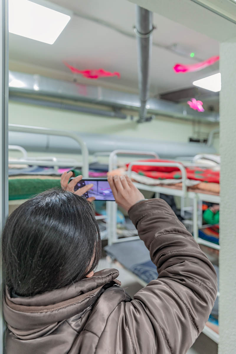 Aljoscha, bioism, biofuturism