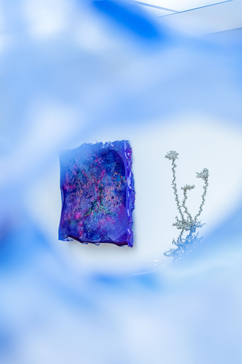 Aljoscha, bioism, biofuturism