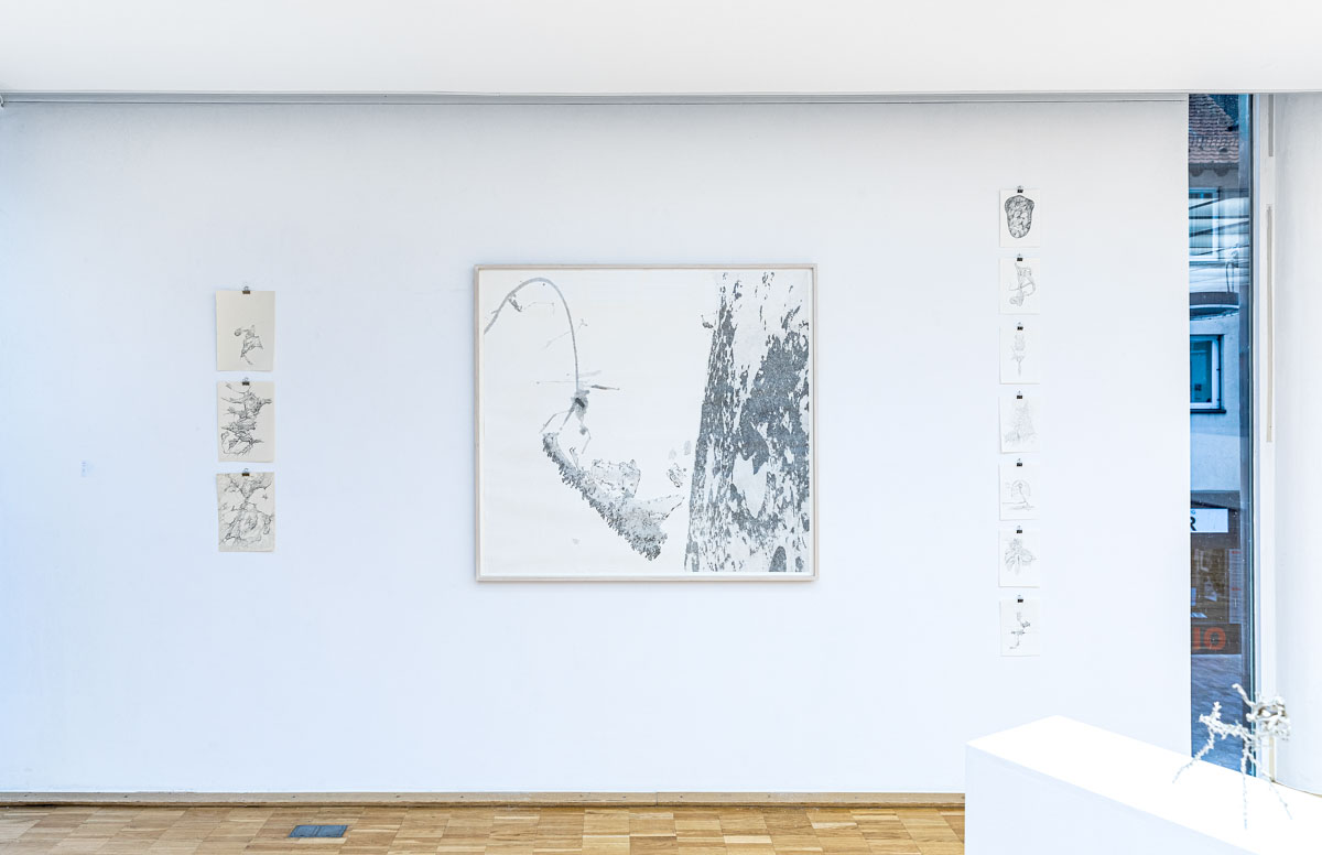 Aljoscha, bioism, biofuturism