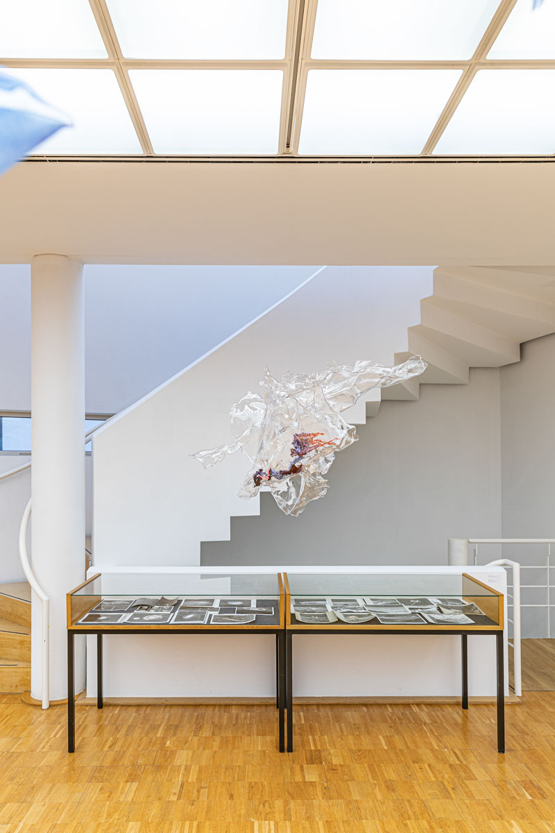 Aljoscha, bioism, biofuturism